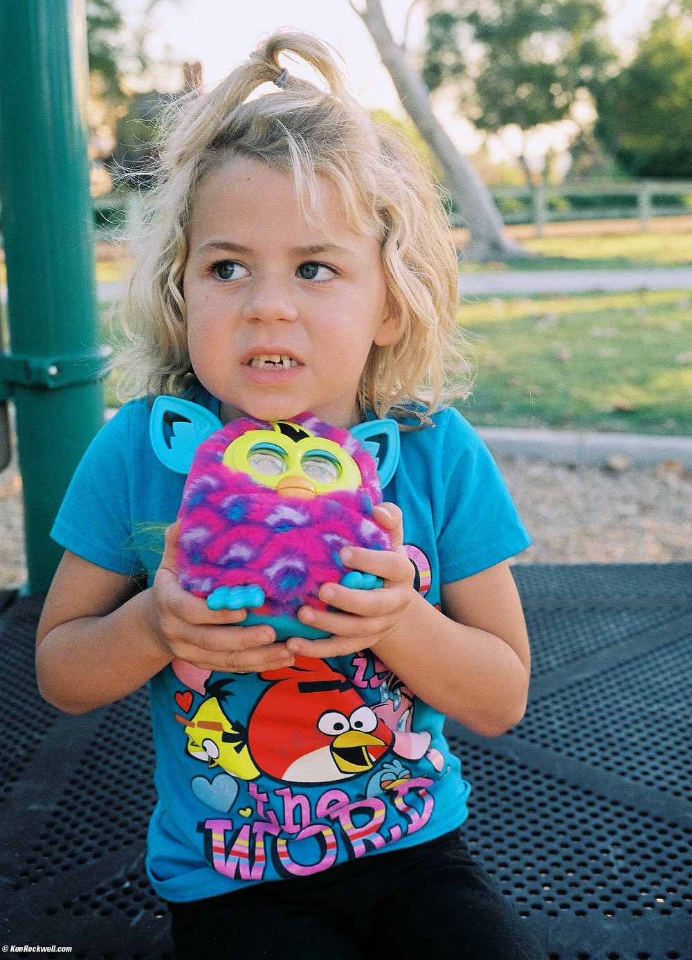 Katie checks out the lobsters at Costco