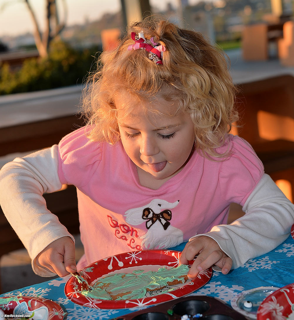 Katie makes a cookie at the park