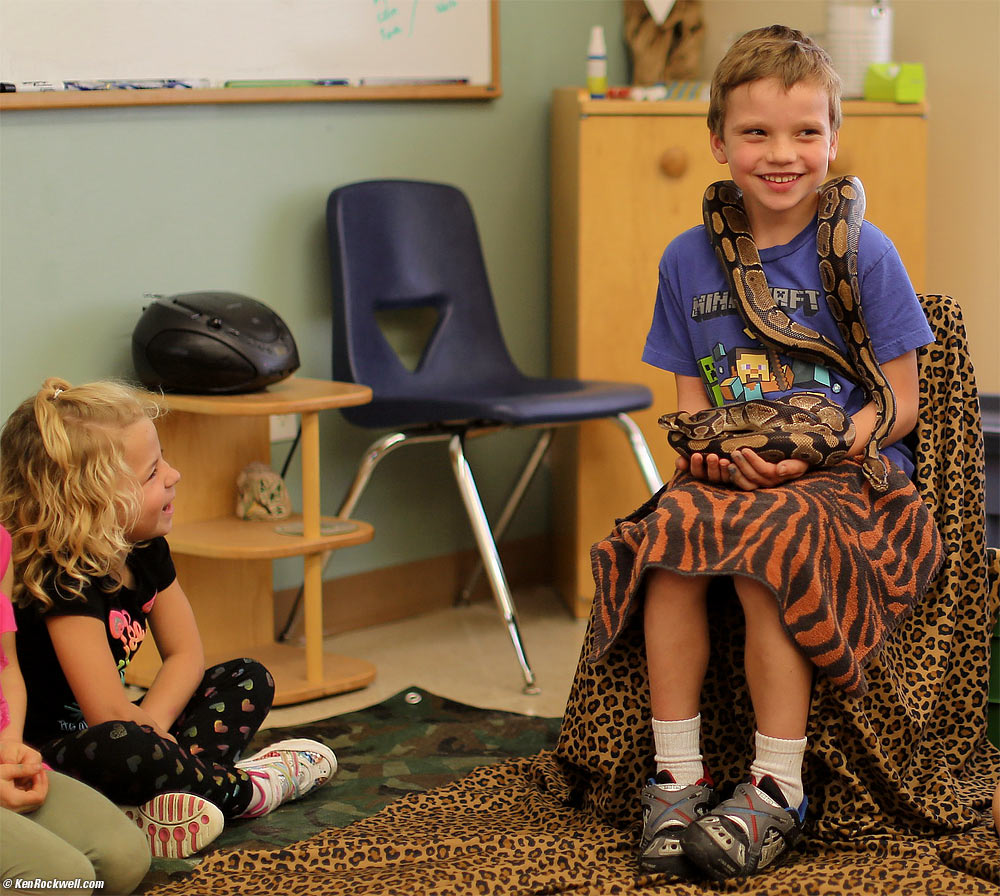 little girl laughs at a ball python