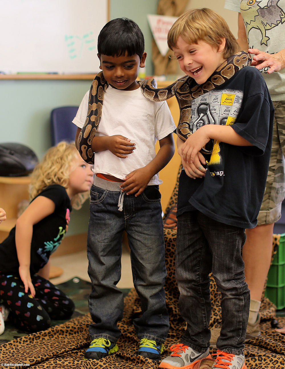 little girl looks at a ball python