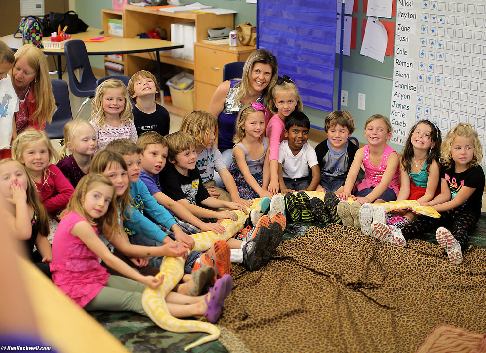 Katie's class room number 5.