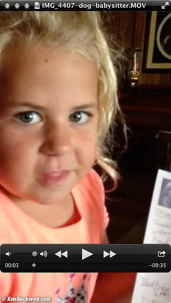 Katie the dog babysitter