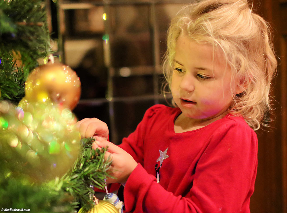 Christmas Tree, Ranch House, 12 December 2014