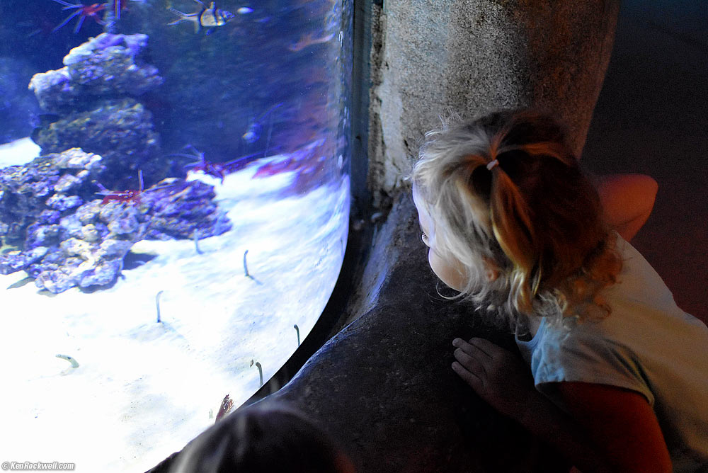 Katie and the Garden Eels