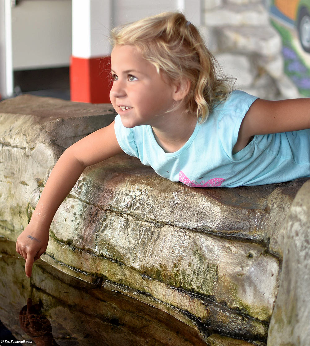 Katie touches the fish