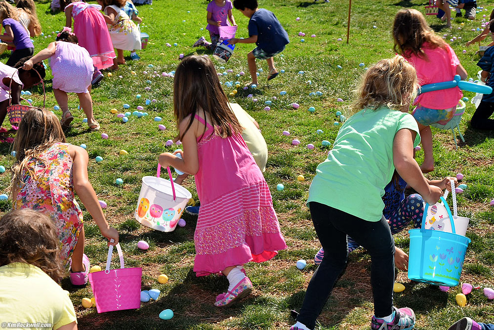Katie Easter egg hunting