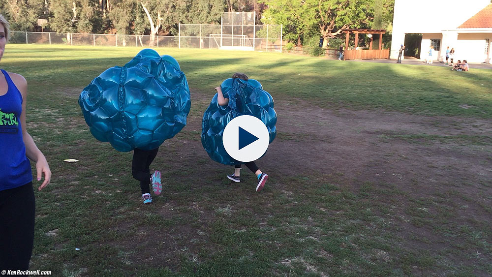 Katie races the blueberries
