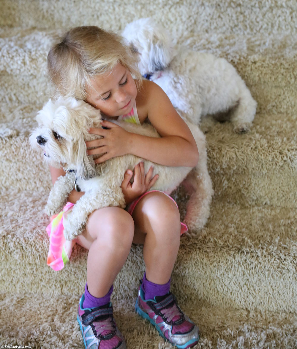 Katie and Sasha and Toby