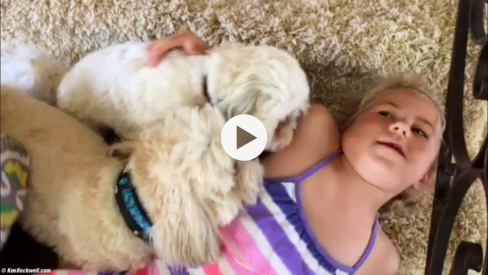 Katie LOVES Noni's dogs!!!