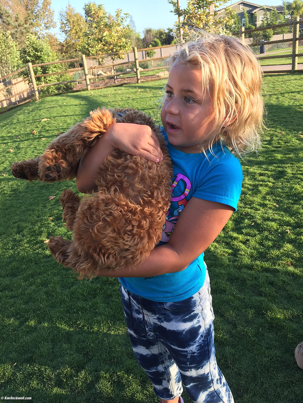 Katie and Simba at the dog park