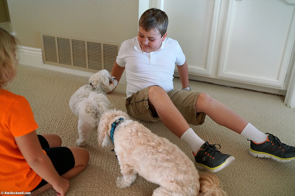 Ryan and Katie play with Toby and Sasha