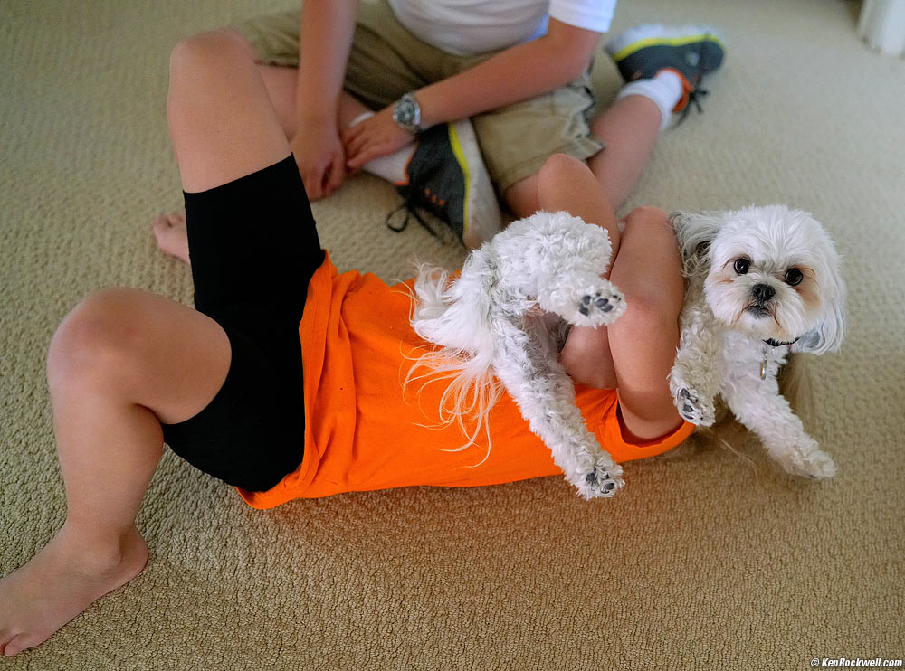 Sasha says "Help me!"