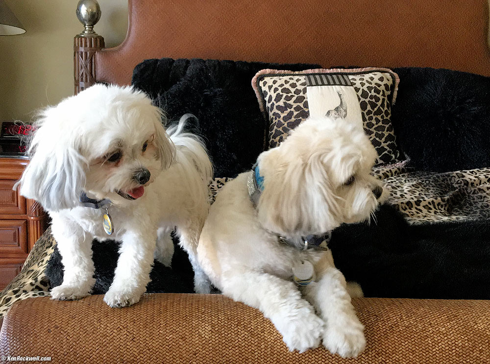 Sacha and Toby at Noni's