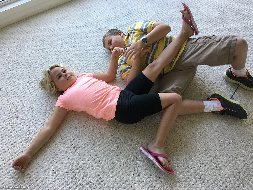 Sacha looks to me for help to figuring out what' s going on with her cage