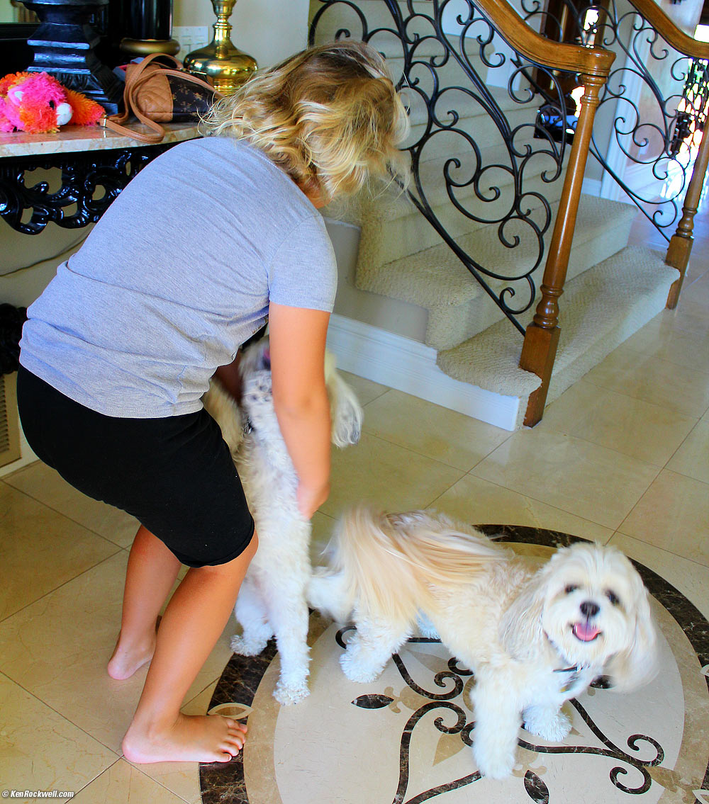 Sasha and Toby greet Katie