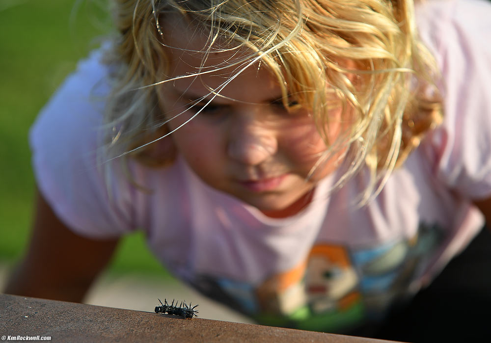 Katie and the Caterpillar