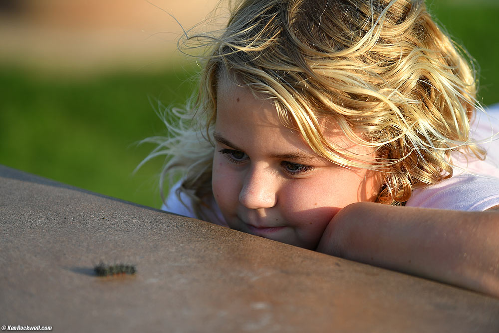 Katie and the Caterpillar