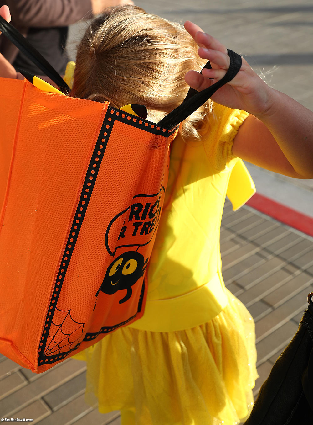 Katie checking her haul so far