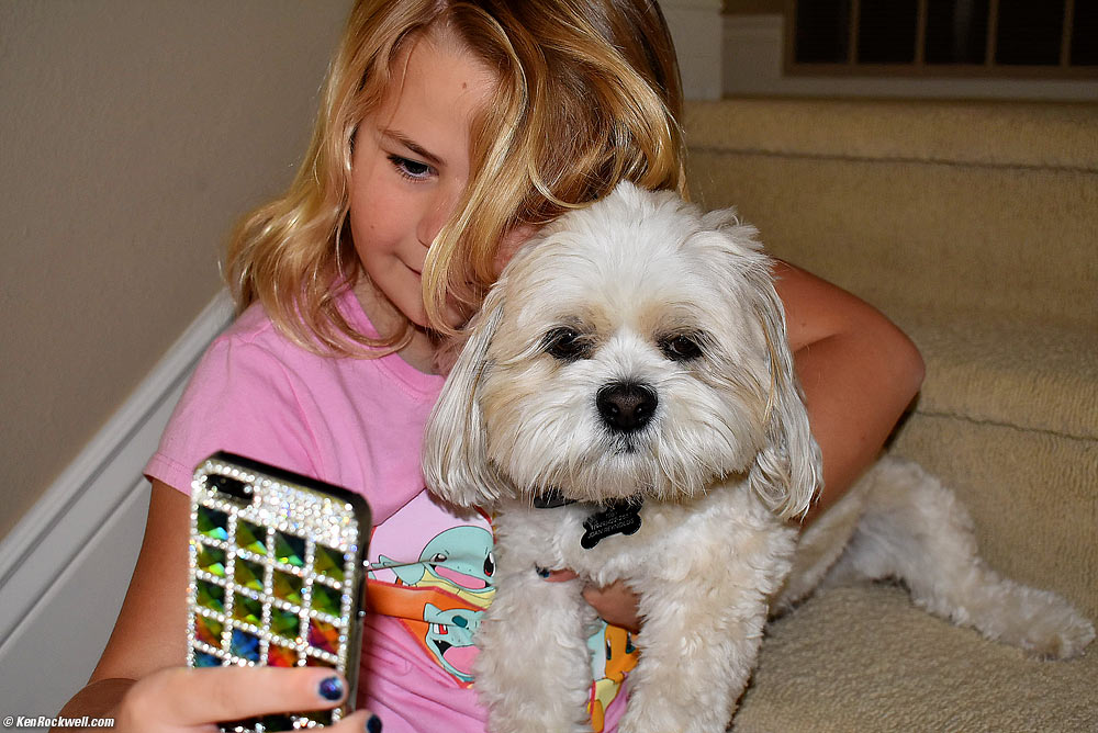 Katie photographs the dogs