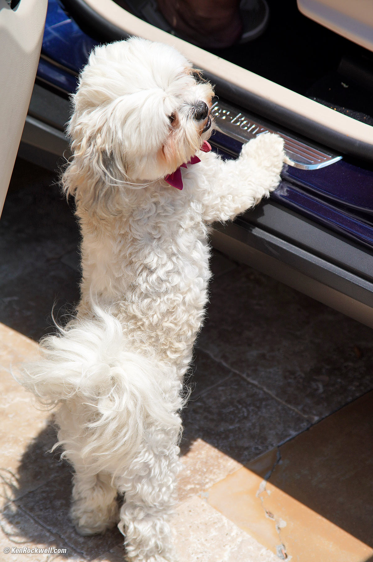 Sasha and a Mercedes