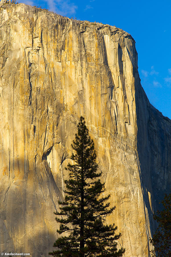 Rear, LEICA ELMAR 135mm f/4