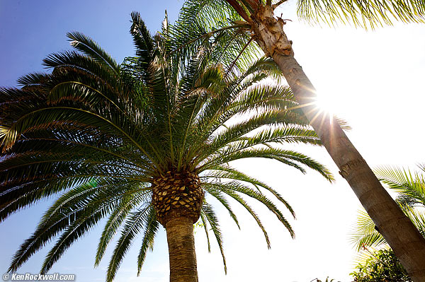 LEICA SUPER-ELMAR-M 21mm f/3.4 ASPH