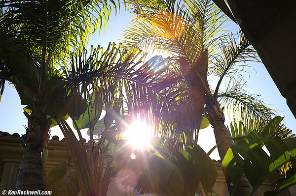 Hammered in Madagascar