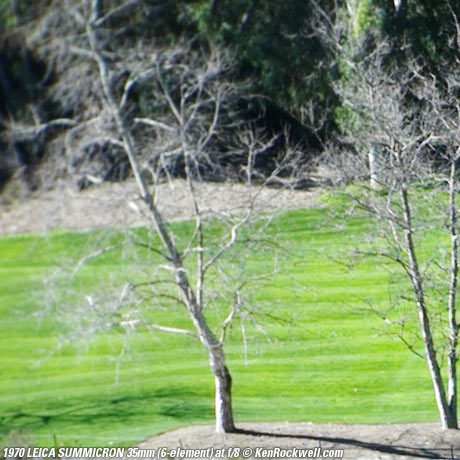 SUMMICRON f/2 6-element