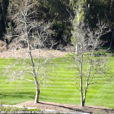 SUMMICRON-M f/2 ASPH