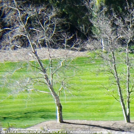 SUMMICRON-M f/2 ASPH