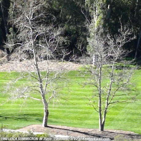 SUMMICRON-M f/2 7-element