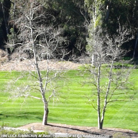 SUMMICRON-M f/2 7-element