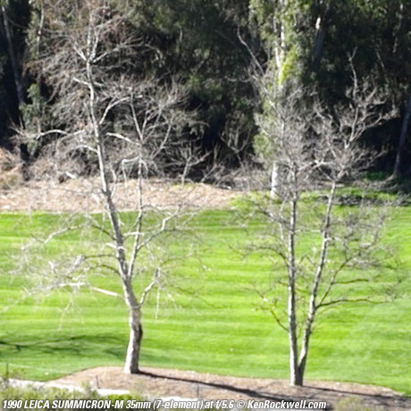 SUMMICRON-M f/2 7-element