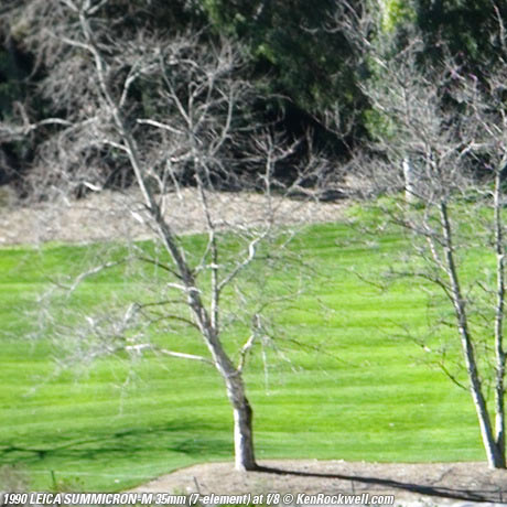 SUMMICRON-M f/2 7-element