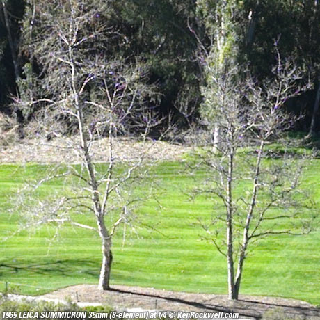 SUMMICRON f/2 8-element