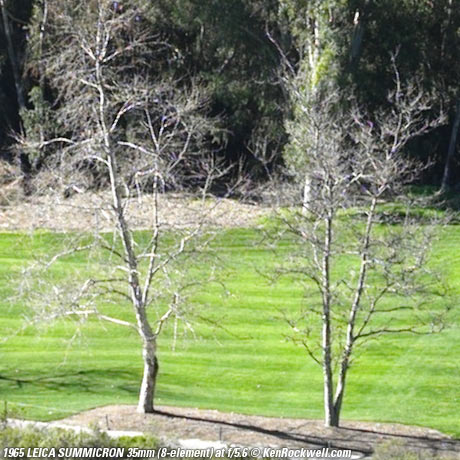 SUMMICRON f/2 8-element