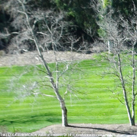 SUMMICRON f/2 8-element