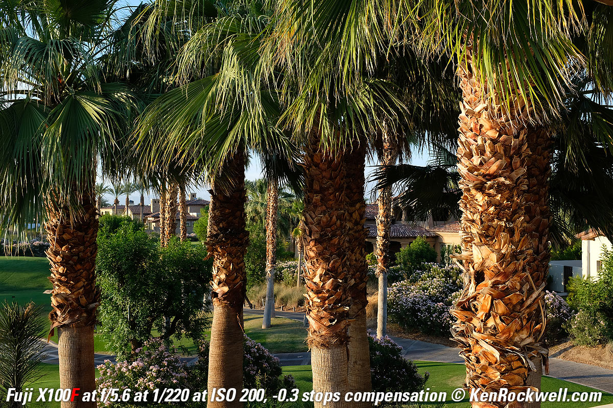 Fuji Z100F Sample Image