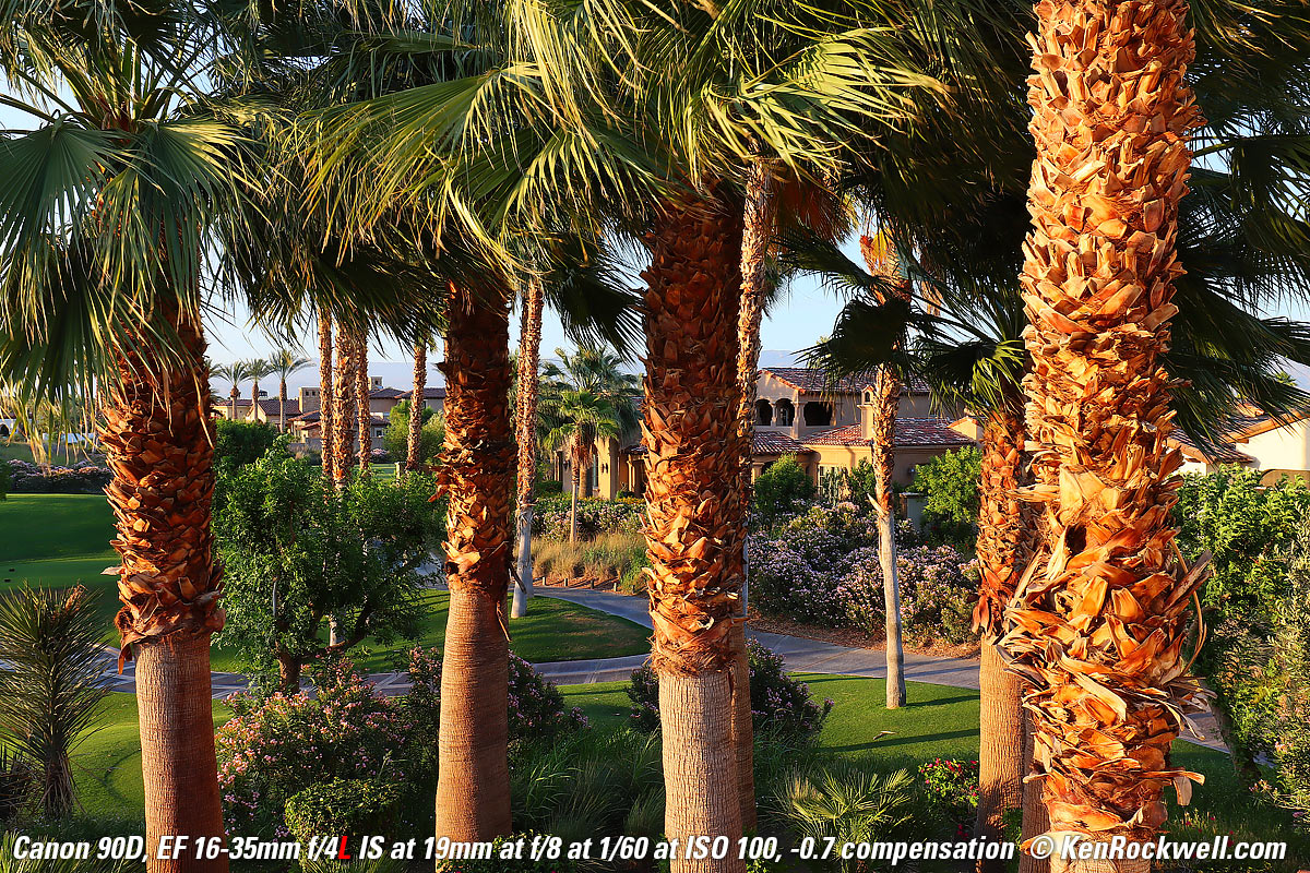 Canon 90D Sample Image File