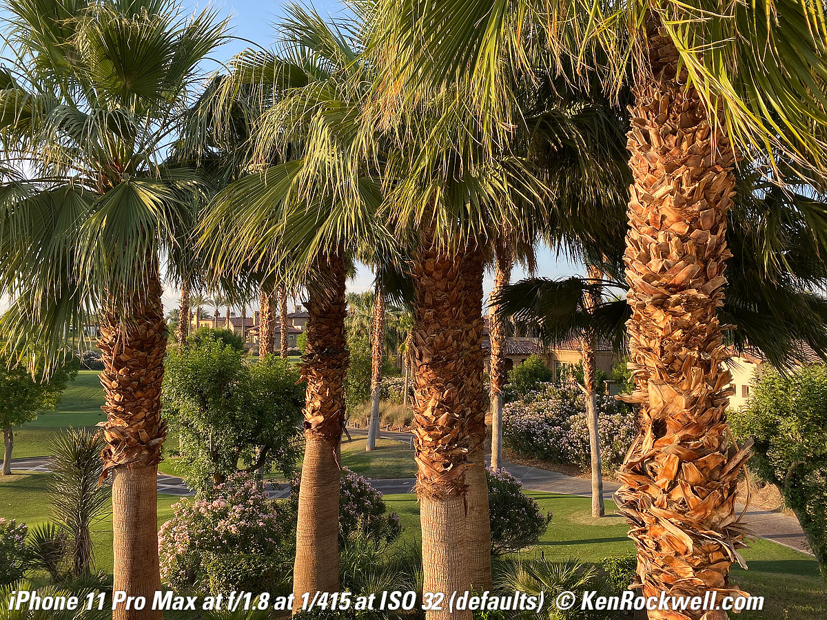 iPhone 11 Max Pro Sample Image