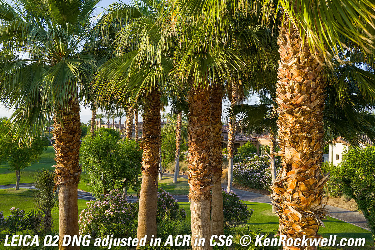 iPhone 11 Max Pro Sample Image