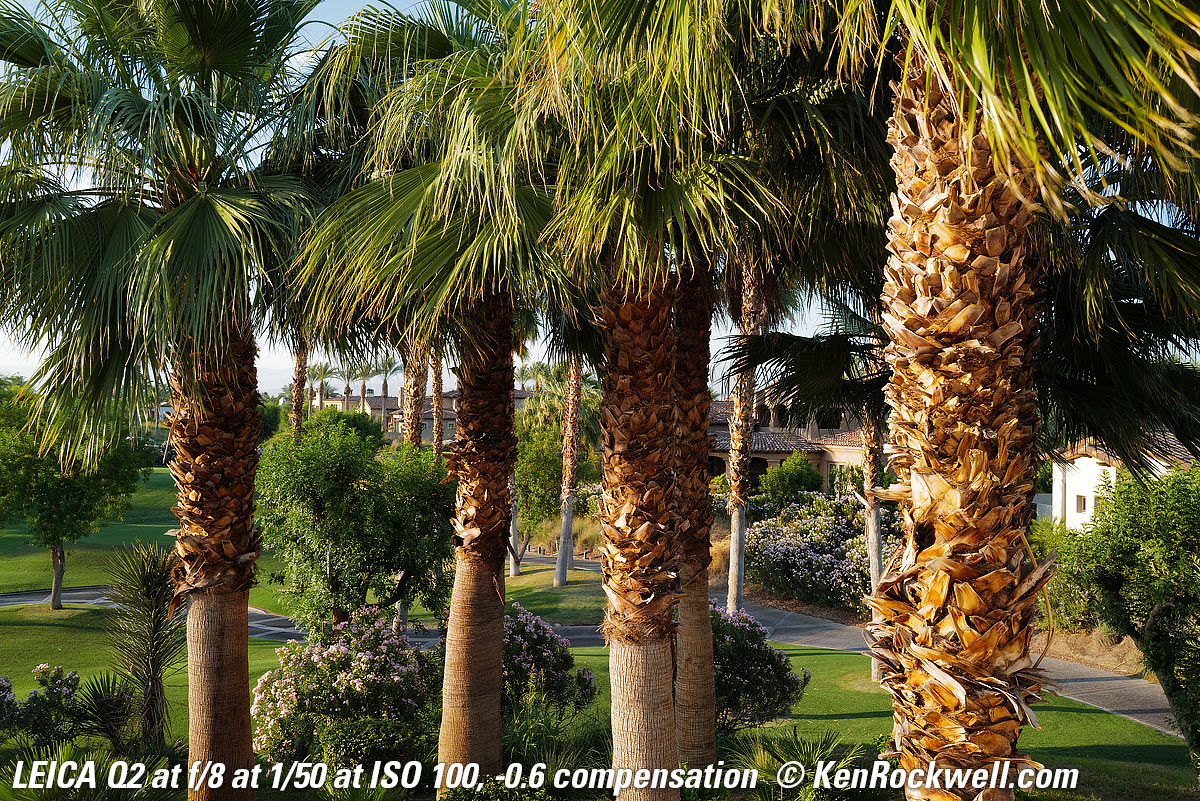 LEICA Q2 Sample Image