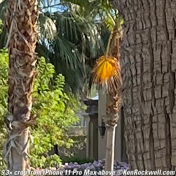 iPhone 11 Pro Max versus LEICA Q2