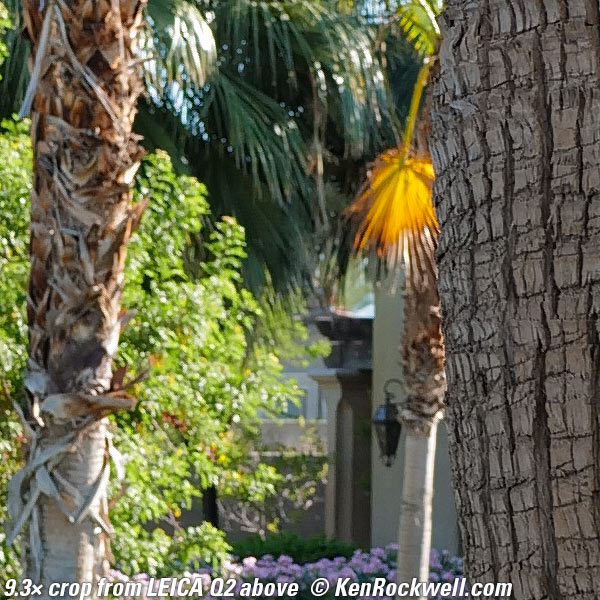 iPhone 11 Pro Max versus LEICA Q2