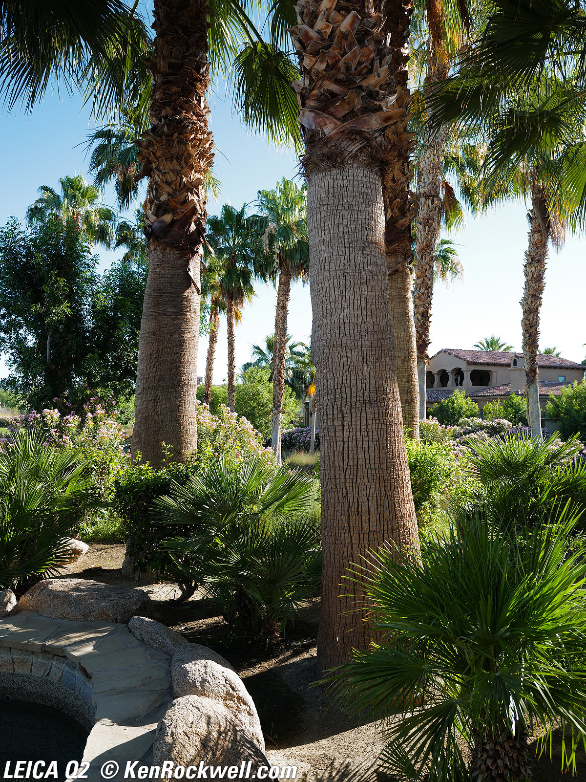 iPhone 11 Pro Max versus LEICA Q2