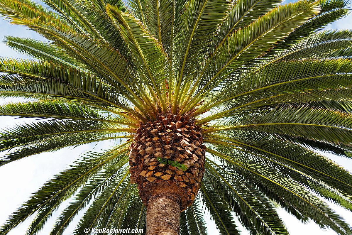 LEICA Q2 Sample Image File