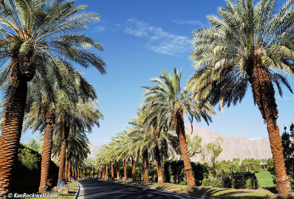 LEICA Q2 Sample Image File