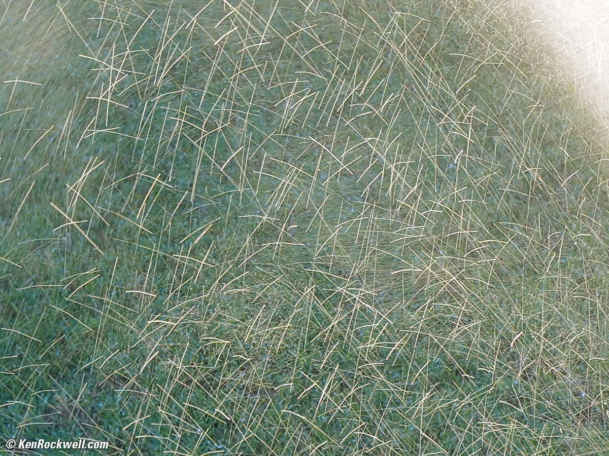 LEICA Q2 Sample Image File