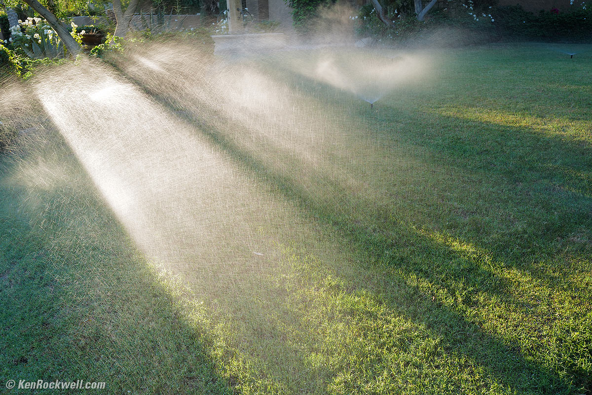 LEICA Q2 Sample Image File