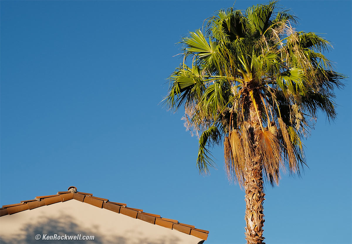 LEICA Q2 Sample Image File